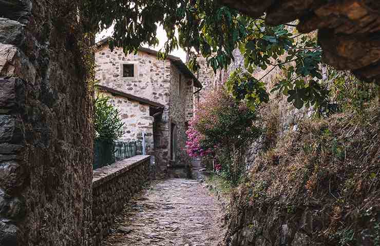 Paesaggio rurale