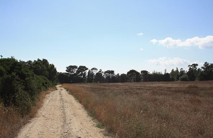 Cammini in Calabria