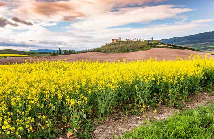 Paesaggio con borgo