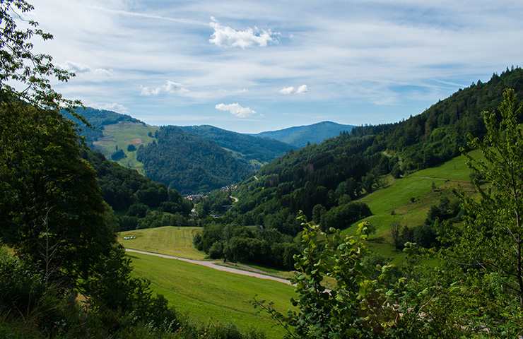 Paesaggio Foresta Nera