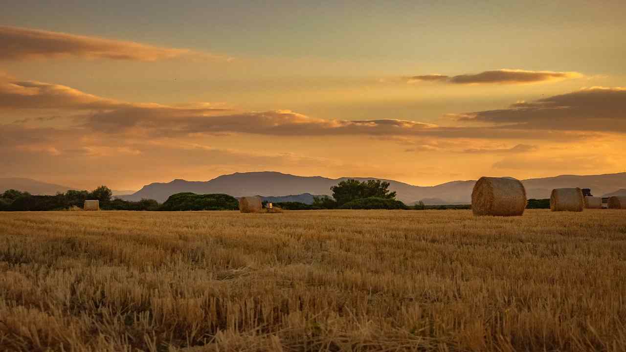 Basilicata