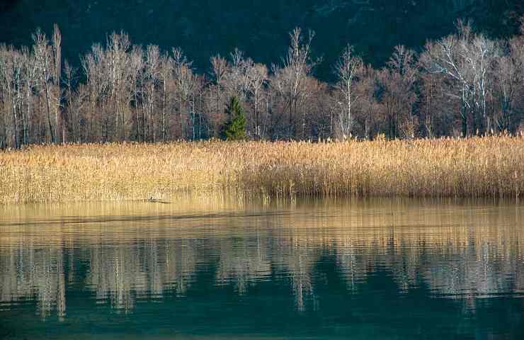 Lago di Cavazzo