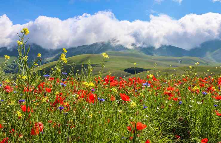 Cammini in Umbria