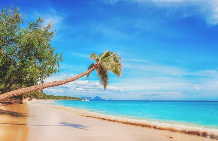 Una spiaggia dei Caraibi