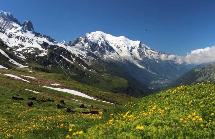 Vista sul Monte Bianco