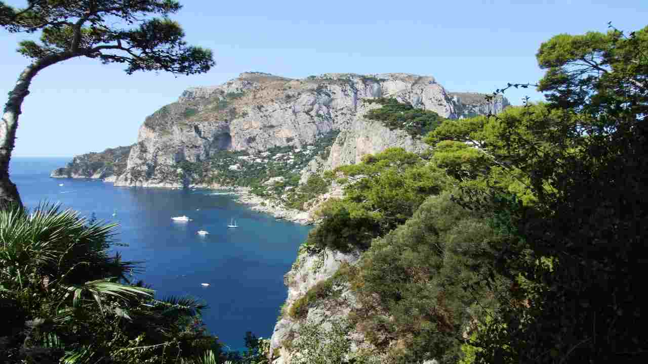 Scorcio di Capri dall'alto, nel cuore della vegetazione