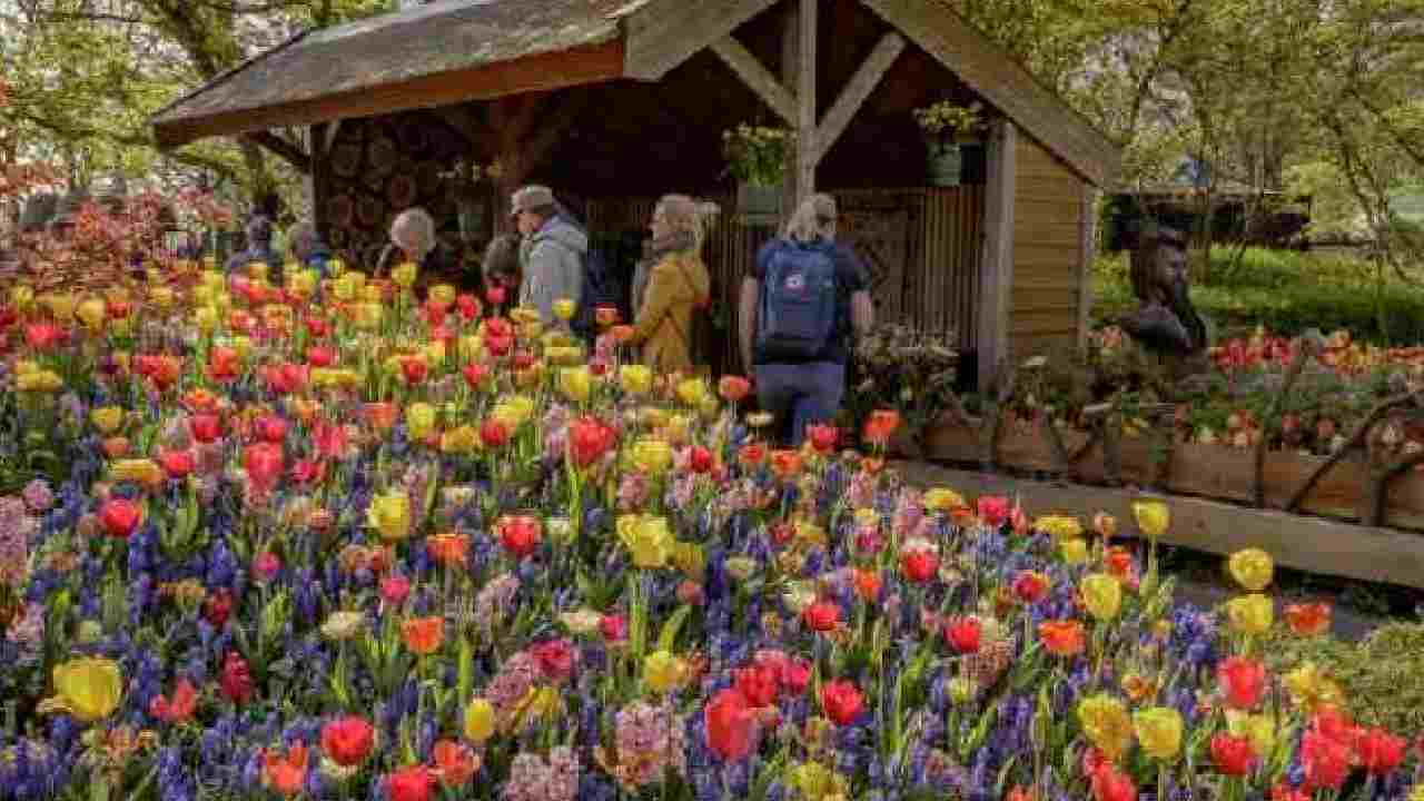 Graffiti Garden al Keukenhof Park in Olanda