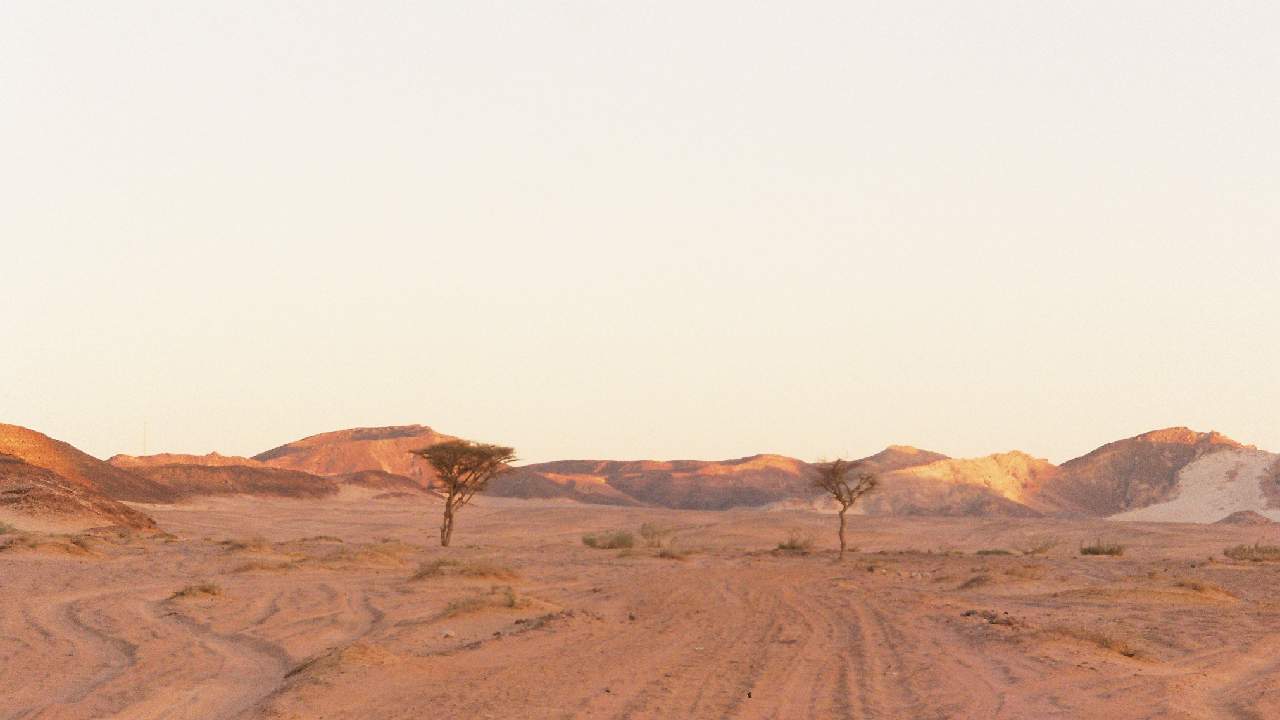 Il deserto del Sinai