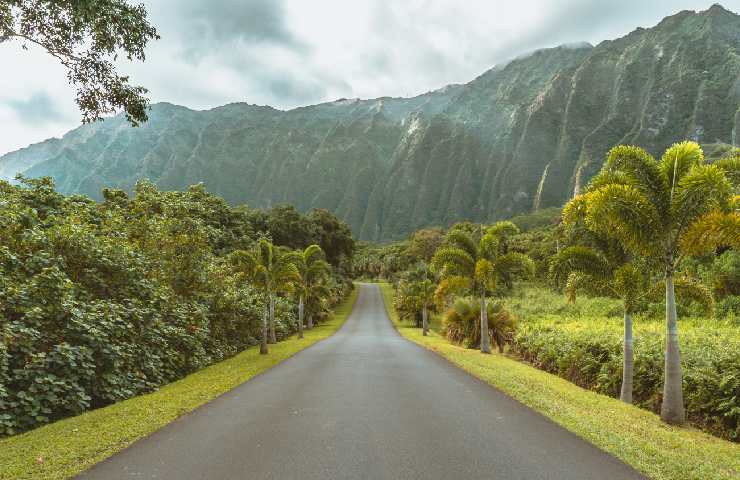 Strada nel paesaggio delle Hawaii