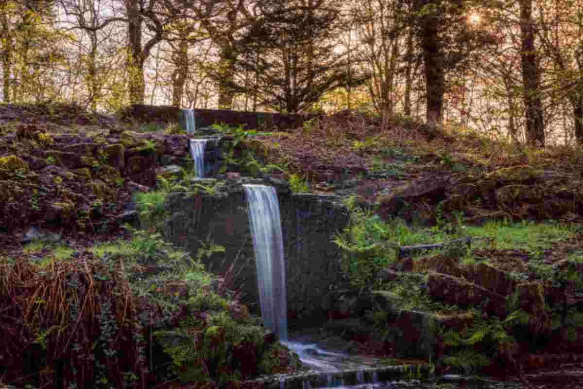 Ashdown Forest, il Bosco dei 100 Acri