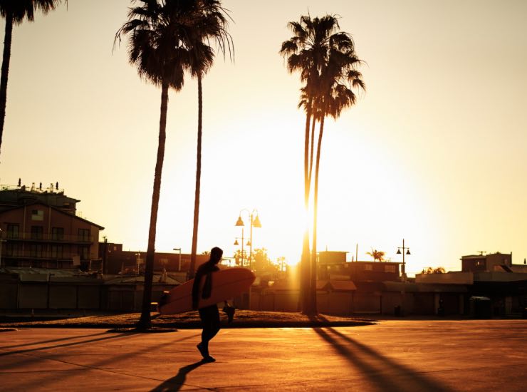 Iconica foto di una spiaggia di Los Angeles con le palme