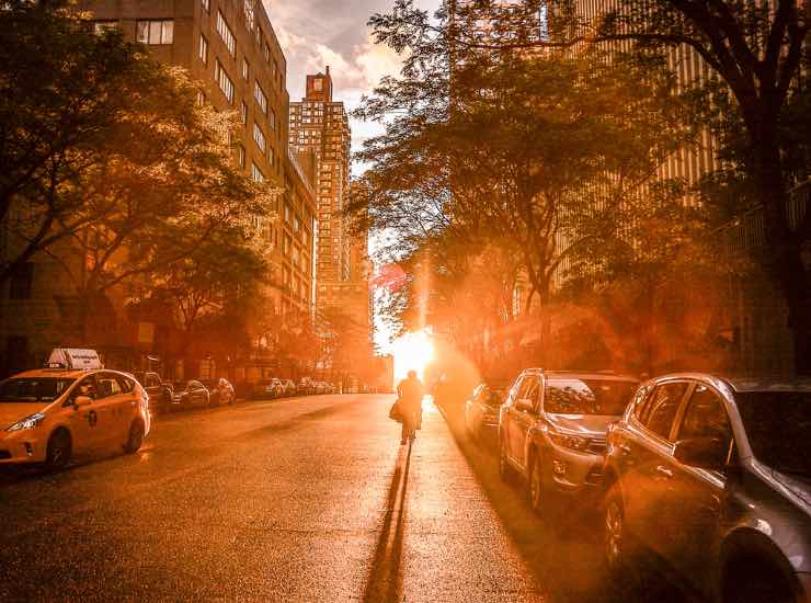 Alberi tra gli edifici di New York