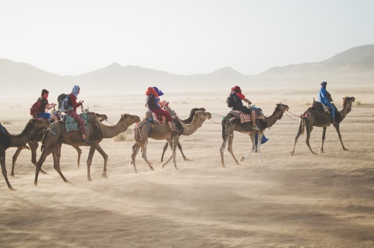 Persone sui cammelli durante un viaggio nel deserto