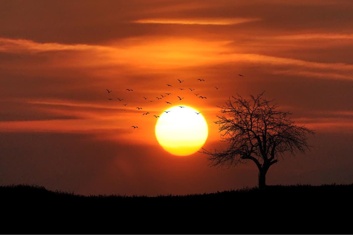 Tramonto africano sui toni aranciati