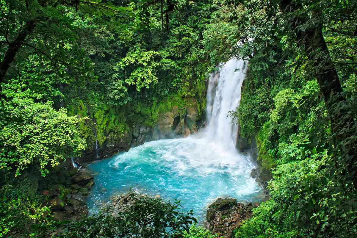 foresta pluviale in costa rica