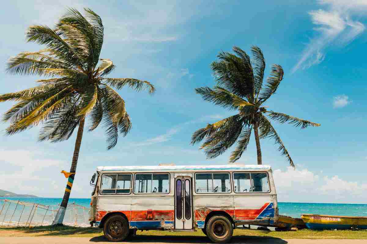 Una foto da cartolina: un bus parcheggiato davanti a delle palme in riva al mare