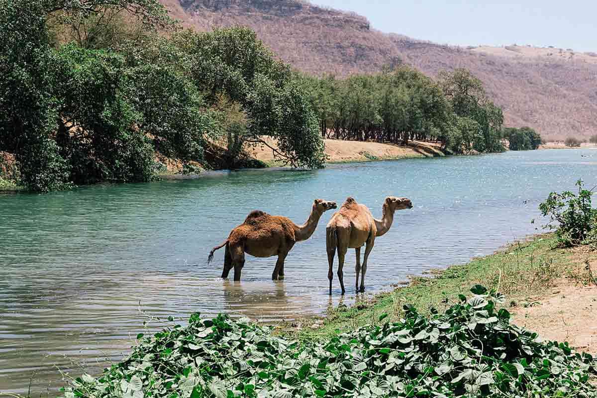 Wadi Darbat oman