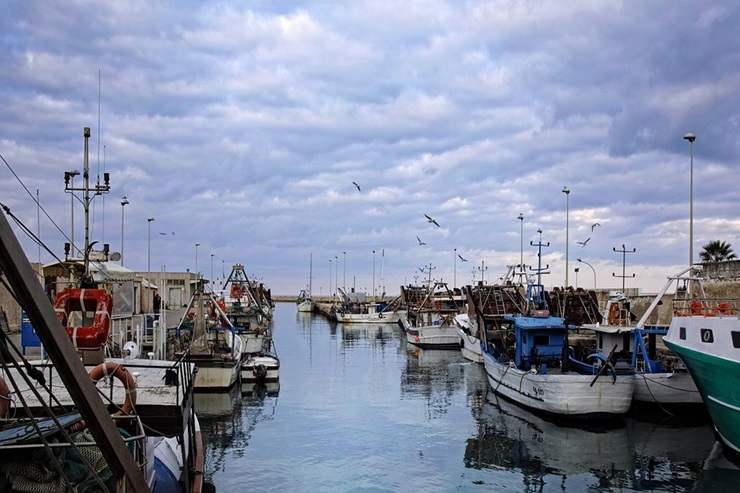 Manfredonia, il porto