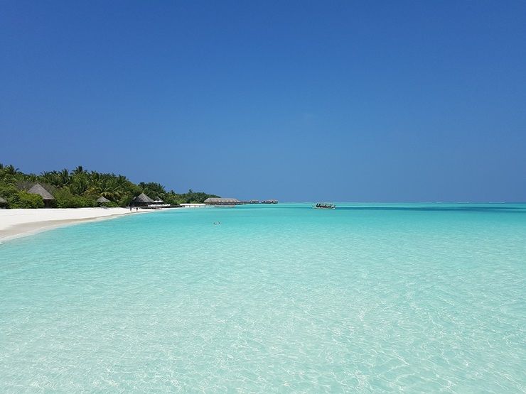 Mare delle Maldive