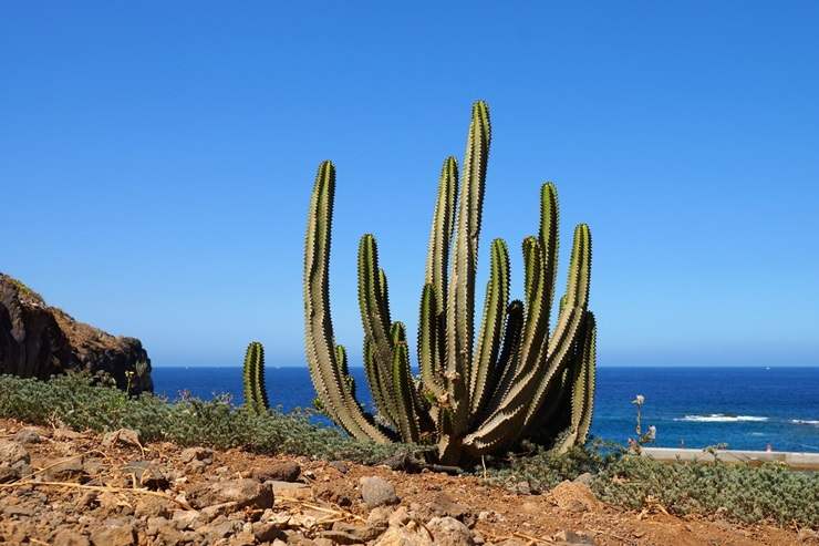 Tenerife