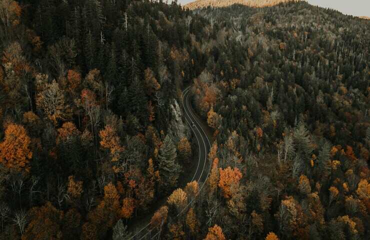 Blue Ridge Parkway