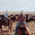 coppia a cavallo raduna la mandria