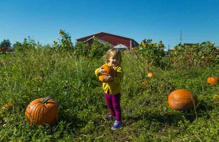 bambina abbraccia zucca