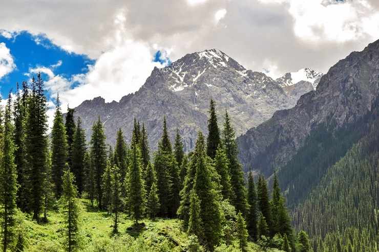 Montagna, paesaggio