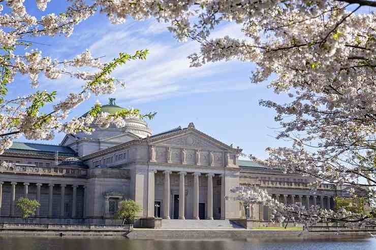 Museo della scienza, Chicago