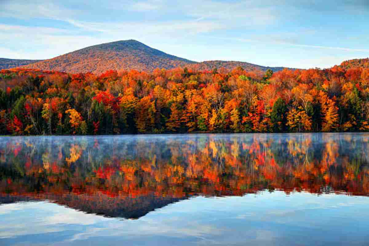 Foliage in Vermont