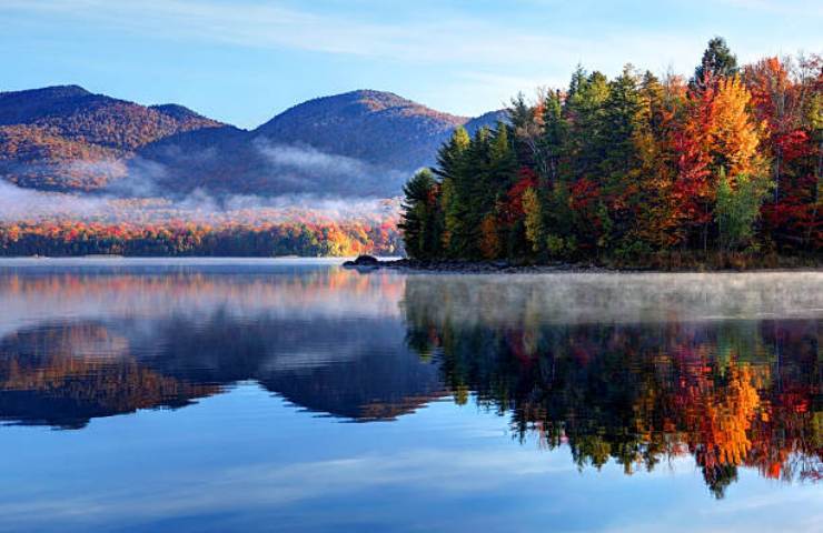 Foliage in Vermont