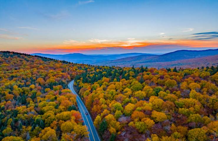 Foliage in Vermont