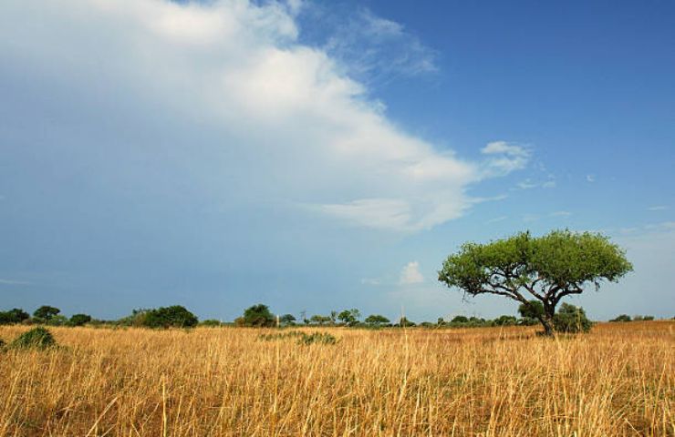 Parco Nazionale di Waza