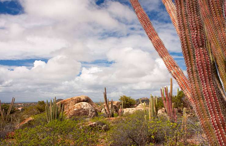 Arikok National Park